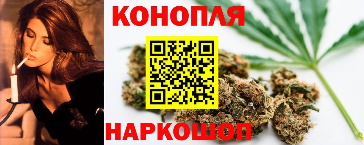 Канабис планчик Новотроицк